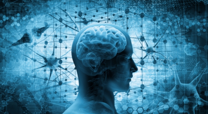 Neurodynamische Untersuchung und Behandlung des Nervensystems